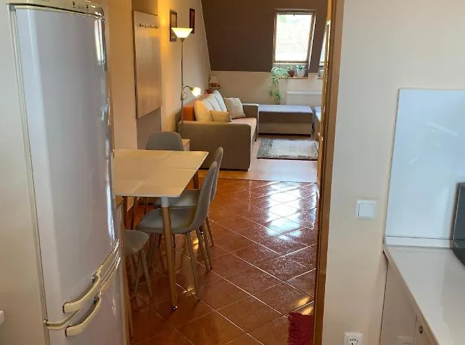 Belváros Apartman *